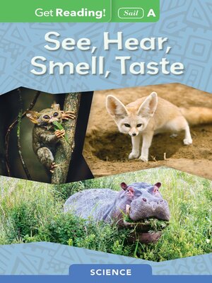 cover image of See, Hear, Smell, Taste